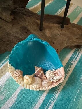 Seashell Decor
